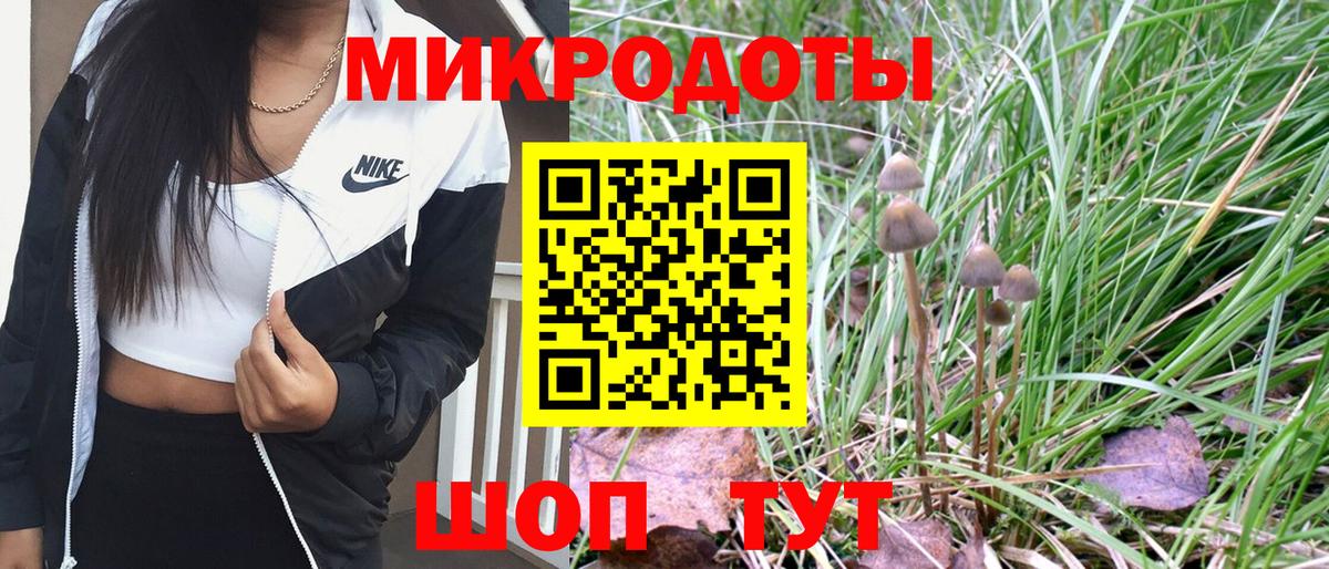 Сальск  Псилоцибиновые грибы мицелий  Вход с VPN 