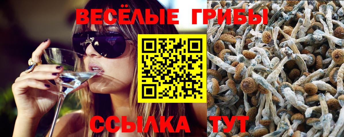 Галлюциногенные грибы Magic Shrooms Сальск